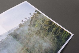 Denis Janker [Graphic Design and Art Direction]